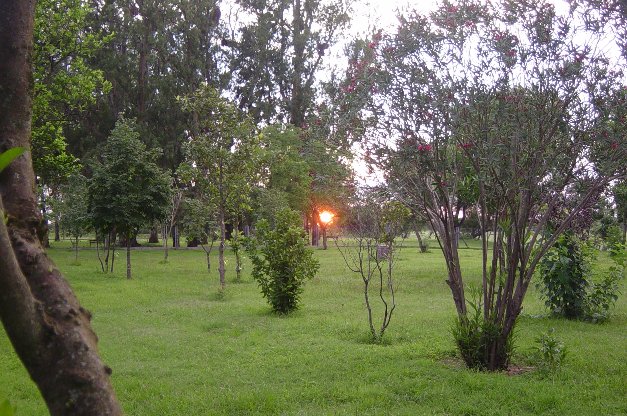 Amanecer_en_el_casco.jpg