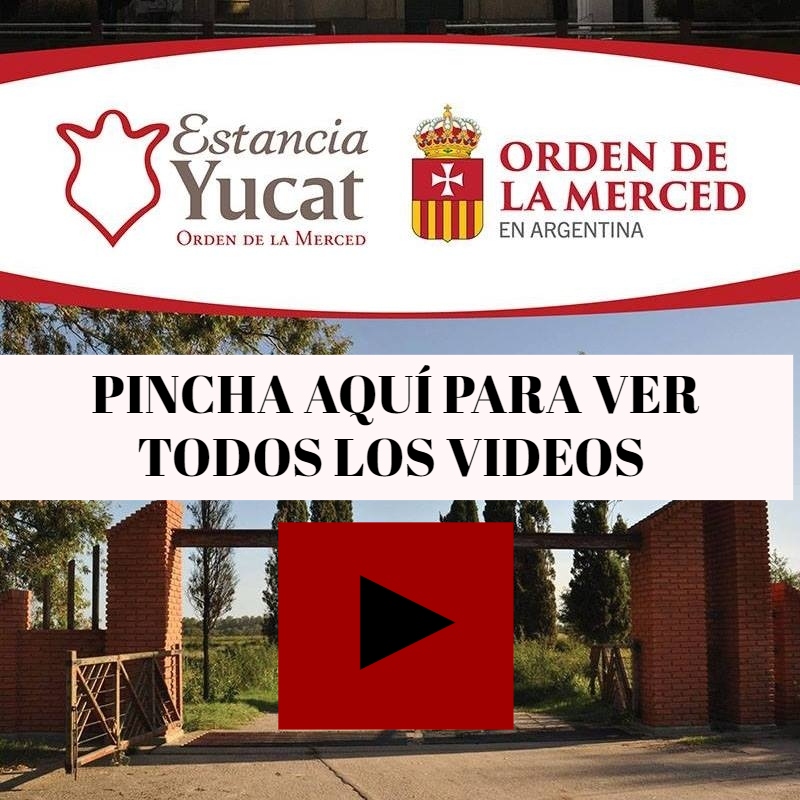 Videos Un recorrido por Estancia Yucat y todas nuestras actividades a través de nuestro canal de Youtube. 